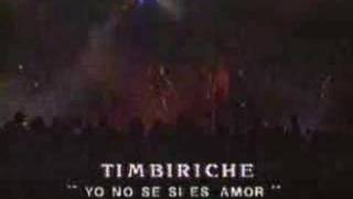 Timbiriche  No se si es Amor [upl. by Ballou620]