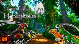 There and Back Again a Hypsi Tale  The Life of a Hypsilophodoon Part 1 The Isle Evrima Gameplay [upl. by Ecnirp262]