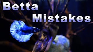 BIG Betta Mistakes Dont Let These Mistakes Harm Your Fish [upl. by Nairehs]