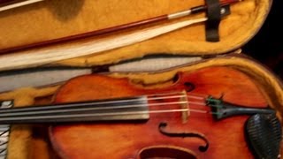 Whats In My Violin Case What I Take to Rehearsals With Me [upl. by Kirch]