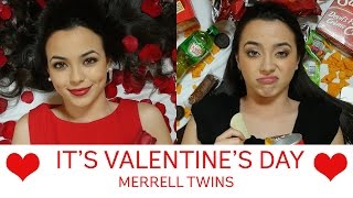 Its Valentines Day Song  Merrell Twins [upl. by Sibel763]