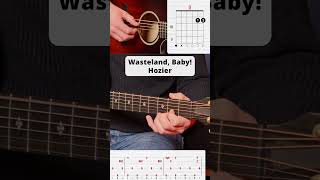 Wasteland Baby  Hozier shorts song tutorial guitarcover cover acoustic [upl. by Leugim]