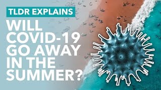 Will Coronavirus Go Away in the Summer  TLDR News [upl. by Llerdnek]