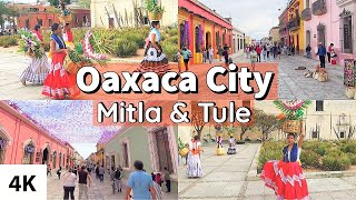 A Tour of OAXACA City  Mitla amp Tule  Mexico Travel 2023 [upl. by Schaumberger]