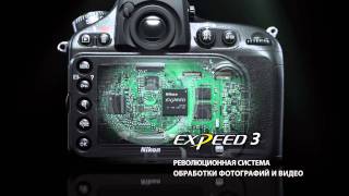 NIKON D800 Россия [upl. by Lahcsap]