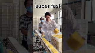 Factory satisfying work soldering factory satisfying song [upl. by Llerut302]