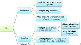 Metabolisme lemak [upl. by Oiredised955]