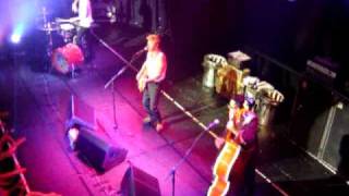 Stray Cats  Please Dont Touch  Live  Paradiso [upl. by Yahsat]