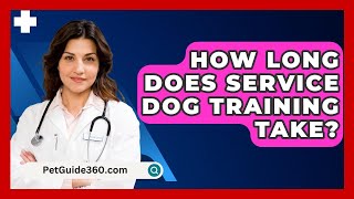 How Long Does Service Dog Training Take  PetGuide360com [upl. by Surazal]