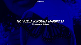 sangiovanni  farfalle sub español  testo [upl. by Ydneh314]