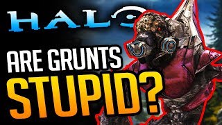 Are Halos Grunts ACTUALLY Stupid or secretly smart [upl. by Nevaeh]