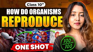 CLASS 10 HOW DO ORGANISMS REPRODUCE  BIOLOGY CLASS 10  SHUBHAM PATHAK science cbseclass10 bio [upl. by Eisiam]