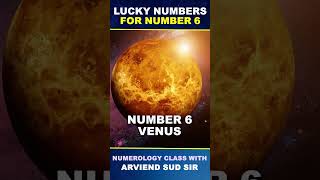 Lucky Numbers For Number 6  Number 6  Numerology  Arviend Sud  shortsfeed [upl. by Annauj269]