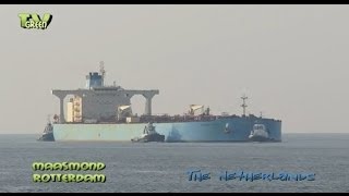 Maasgeul Rotterdam Maersk Sonia Crude oil tanker [upl. by Drexler]