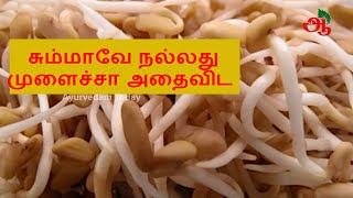 Fenugreek sprouts benefits  Fenugreek sprouts in Tamil [upl. by Ellehsat]