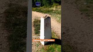 What are Camino de Santiago markers for [upl. by Beekman]