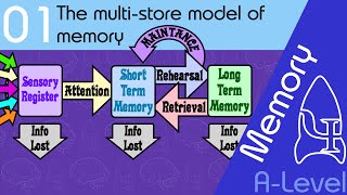 Short Term Memory Loss  What It Is What Causes It and How To Prevent It [upl. by Acinelav]