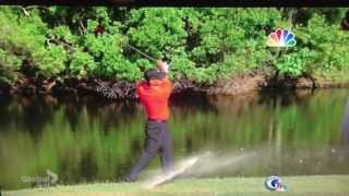 The Players Championship 2013  Tiger Woods hole 14 round 4 [upl. by Briana]