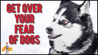 How To Get Over A Fear Of Dogs in 11 Simple Steps [upl. by Verity]