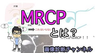 医療用語のMRCPとは？図を用いてわかりやすく解説！ [upl. by Almeria358]