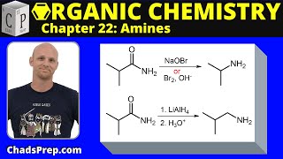 224b Synthesis of Amines Hofmann Rearrangement [upl. by Pippa]