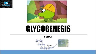 Glycogenesis Glycogen Synthesis [upl. by Loux882]