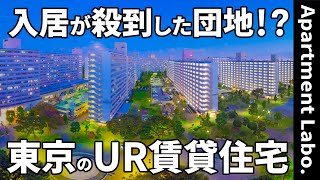 これがUR賃貸住宅！？リノベされた築50年のお部屋【2DK物件紹介】 [upl. by Harald]