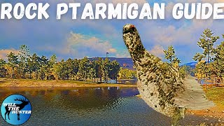 Revontuli Coast Rock Ptarmigan Guide TheHunter Call Of The Wild 2023 [upl. by Anertac]