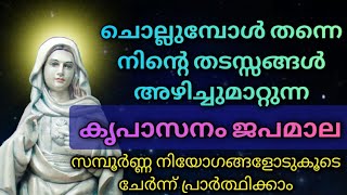 സമ്പൂർണ നിയോഗജപമാല 🔥Kreupasanam kreupasanam niyoga japamala FrVPJosephKreupasanam Mother of Grace [upl. by Anum]