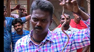 Vava Suresh caught Common Wolf Snake in Kerala  SNAKE MASTER EPI 150 22  Kaumudy TV [upl. by Meras]