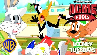 Looney Tunes en Latino  A Competition ACMEFools  WBKidsLatino [upl. by Eva]