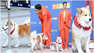 Netizens are very impressed with Sung Hoons dog Yanghee and her professionalism in front of a photo [upl. by Alimat170]