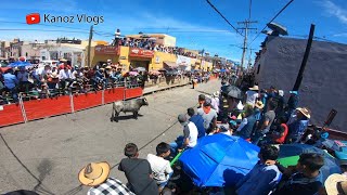 Esto paso en la HUAMANTLADA 2019 Tradición de TLAXCALA [upl. by Reffotsirk]