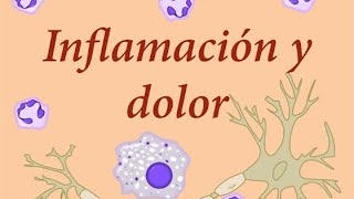 Fisiología de la Inflamación y el dolor [upl. by Runck]