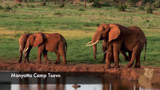 Manyatta Camp Tsavo Built To A Very High Standard Is Located In Front of Tsavo East National Park [upl. by Anirrehs]