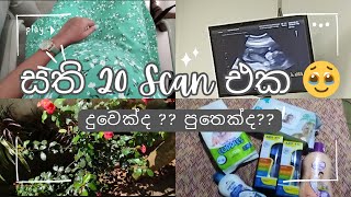 20th Week Scan Vlog  බබා දුවෙක්ද පුතෙක්ද 💗💙  Pregnancy Vlogs Sinhala [upl. by Barra]