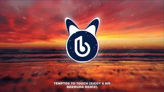 Rupee  Tempted To Touch ZIGGY amp Mr Bermuda Remix [upl. by Sirrah]