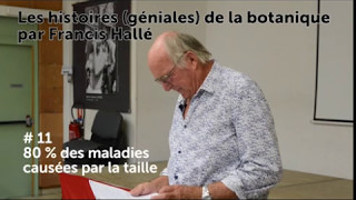 11 Les histoires géniales de la botanique par Francis Hallé [upl. by Lizned]