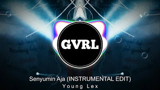 KARAOKE Young Lex  Senyumin Aja  INSTRUMENTAL EDIT [upl. by Drucill820]