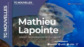 Débat judiciaire sur la carte électorale du Québec  LA GASPÉSIE VEUT FAIRE ENTENDRE SA VOIX [upl. by Edgardo146]