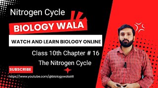 Class 10  Biology  Chapter 16  Lecture 5  Nitrogen Cycle [upl. by Randie]