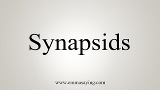 How To Say Synapsids [upl. by Annawat413]