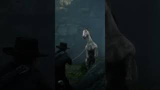 RDR2 LEGENDARY Hoses Location rdr2 shorts [upl. by Adnilam783]