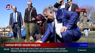 SAFRAN BİTKİSİ HASADI BAŞLADI [upl. by Wilser]