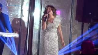 Najwa Karam  نجوى كرم حفلة فندق فنيسيا ميدلي 1 2014 [upl. by Tenrag]