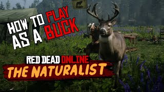 Red Dead Online How To Play As A Buck Vitalism Studies With Plant and Transform Location RDR2 [upl. by Venetia47]