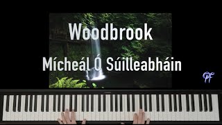 Woodbrook  Mícheál Ó Súilleabháin  Piano [upl. by Luap638]