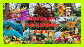 Legend of the Dragon Gate flowerdome singapore gardenbythebay [upl. by Ailemrac86]