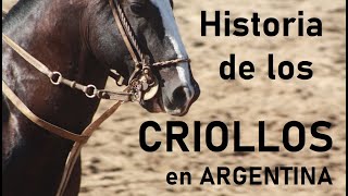 Historia del Caballo Criollo en la Argentina como llega el caballo a las pampas y hasta el hoy [upl. by Scornik]