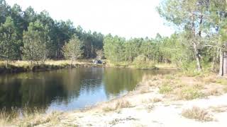 Testing my local pond with a JBL test strip  There is chlorine in it [upl. by Mckale288]